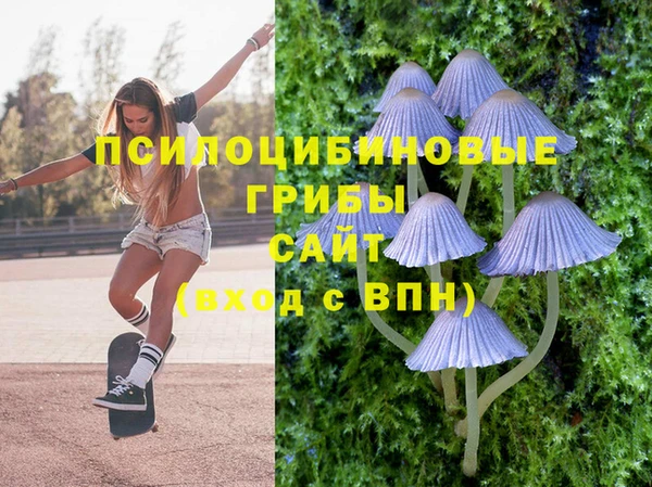 прущая мука Алзамай