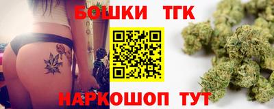 индика Гусев