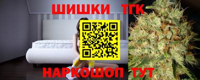 индика Гусев