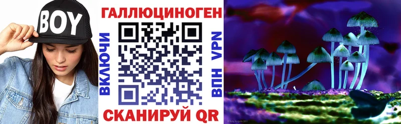 мориарти Telegram  Магадан  Псилоцибиновые грибы GOLDEN TEACHER  где купить наркотик 