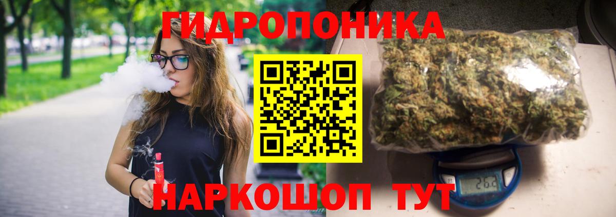 Бошки марихуана LSD WEED  Бошки Шишки White Widow  Конопля White Widow  Вход с VPN  Магадан  Конопля марихуана 